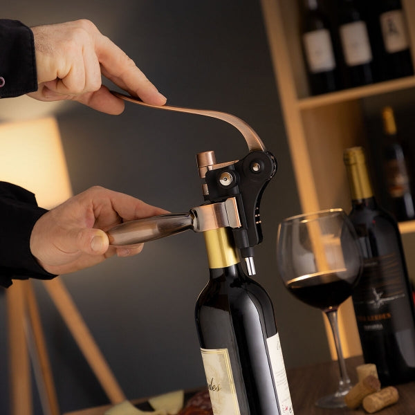 Set Sumiller Profesional con Accesorios para Vino: Elegancia y Excelencia