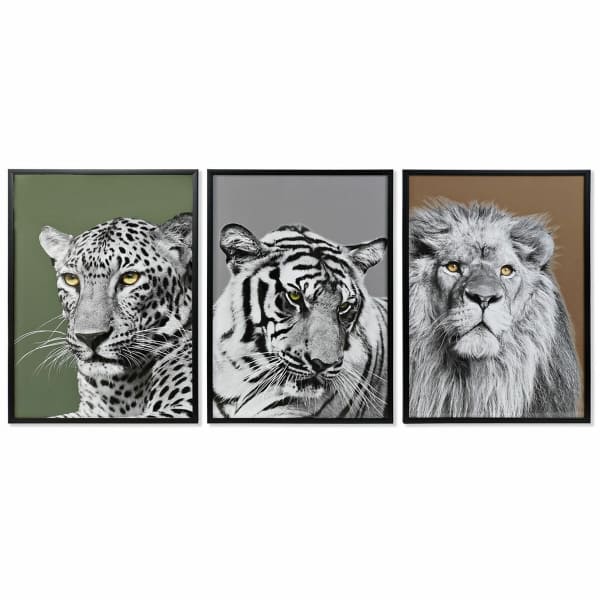 Cadres Muraux Lion, Léopard, Tigre Noir et Blanc