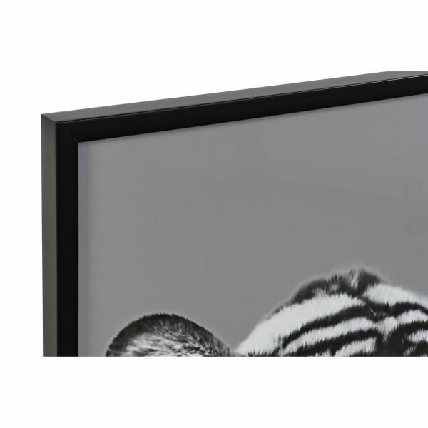 Lion, Leopard, Tiger Black and White Wall Frames