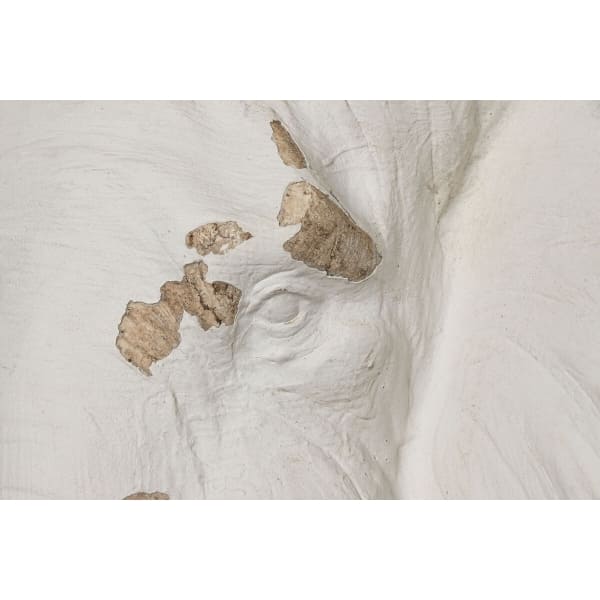 White Stripped Wall Elephant Head