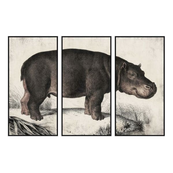 Jeu de 3 Cadres Muraux Représentant un Hippopotame Gris et Noir