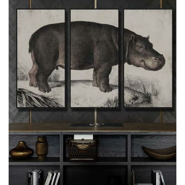 Jeu de 3 Cadres Muraux Représentant un Hippopotame Gris et Noir