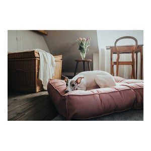 Cama hunter lancaster clearance