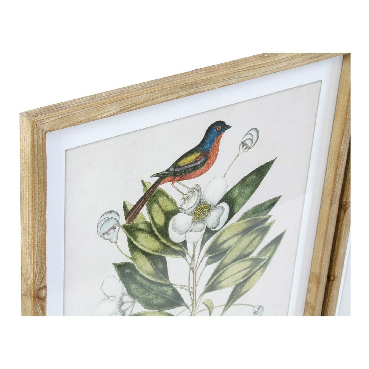 Cadre DKD Home Decor Bird Tropical Oiseaux (55 x 2,5 x 70 cm) (4 Unités)