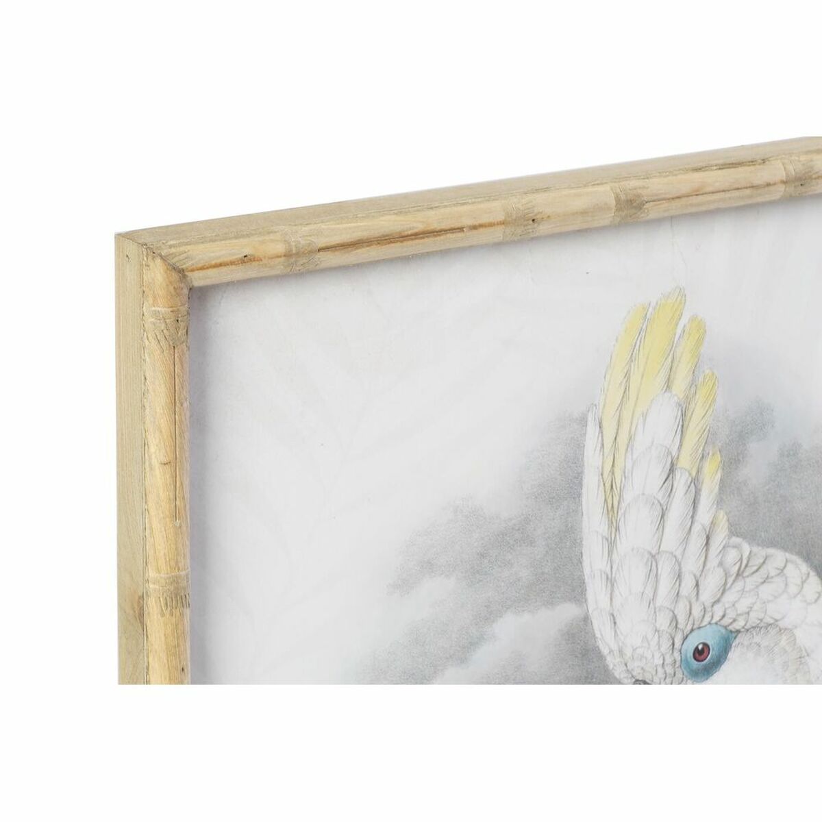 White Colonial Wooden Parrot Wall Frame