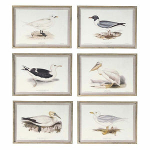Painting DKD Home Decor Birds (70 x 2,5 x 50 cm) (6 Units)